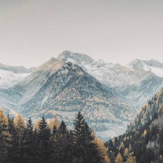 Gray mountains wallpaper