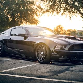 Black Mustang 4k wallpaper