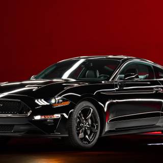 Black Mustang 4k wallpaper