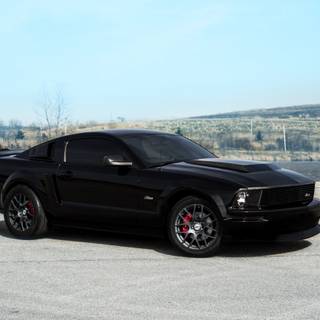 Black Mustang 4k wallpaper