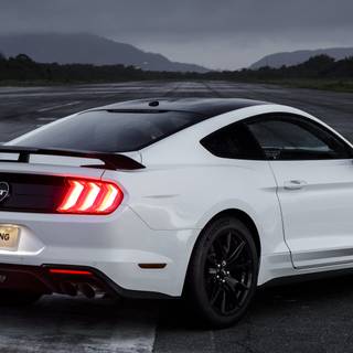 Black Mustang 4k wallpaper