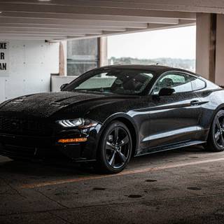 Black Mustang 4k wallpaper