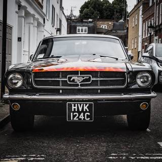 Black Mustang 4k wallpaper