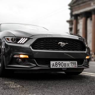 Black Mustang 4k wallpaper