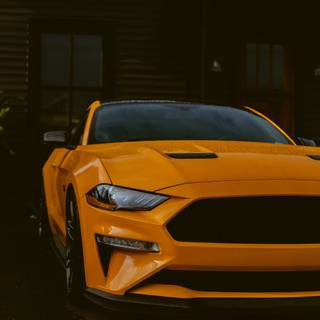 Black Mustang 4k wallpaper