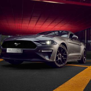 Black Mustang 4k wallpaper