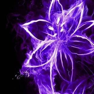 Neon purple iPhone wallpaper