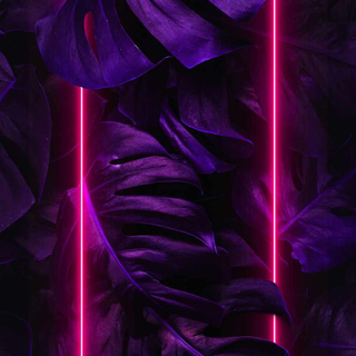Neon purple iPhone wallpaper