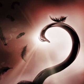 Captain Hook iPhone wallpaper