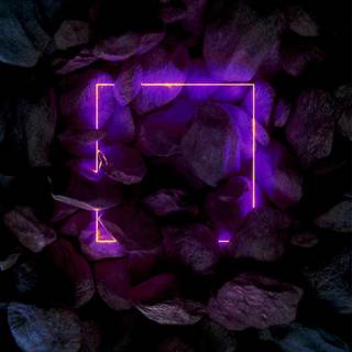 Neon purple iPhone wallpaper