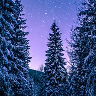 Cold phone wallpaper