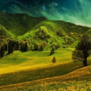 Nature art phone wallpaper