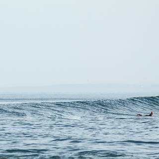 Cold phone wallpaper