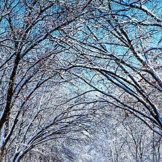 Cold phone wallpaper