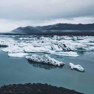 Cold phone wallpaper