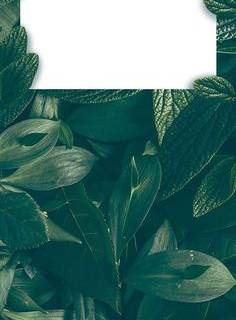 iPhone box wallpaper