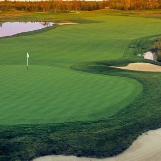 Golf phone wallpaper