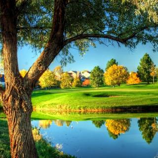 Golf phone wallpaper