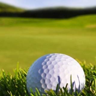 Golf phone wallpaper