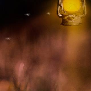 Lantern phone wallpaper