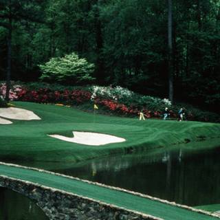 Golf phone wallpaper