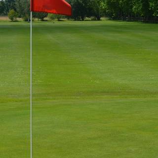 Golf phone wallpaper