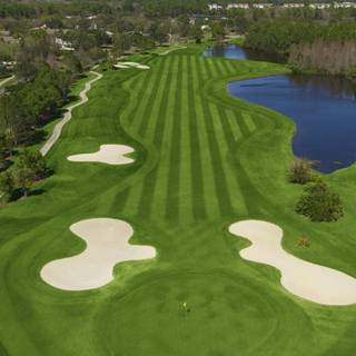 Golf phone wallpaper