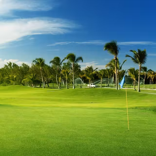 Golf phone wallpaper