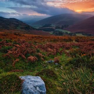 Ireland phone wallpaper