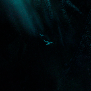 Lovecraft phone wallpaper