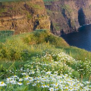 Ireland phone wallpaper