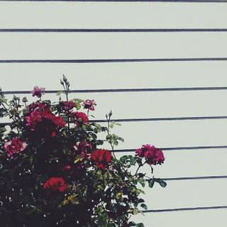 Phone grunge wallpaper