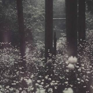 Phone grunge wallpaper