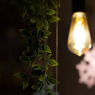 Bulb iPhone wallpaper