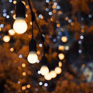 Bulb iPhone wallpaper