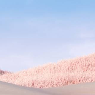 Blue sky iPhone wallpaper