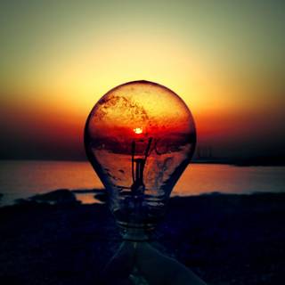 Bulb iPhone wallpaper