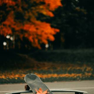 iPhone skateboard wallpaper