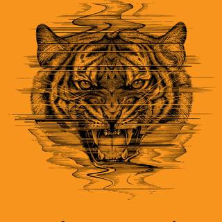 iPhone skateboard wallpaper