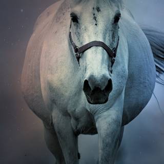 Running in the dark wallpaper