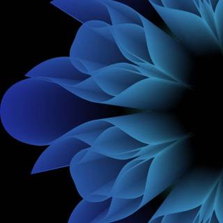 iPhone flower blue wallpaper