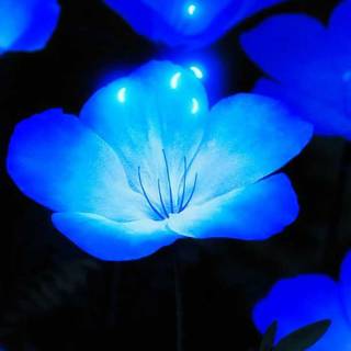 iPhone flower blue wallpaper