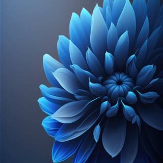 iPhone flower blue wallpaper