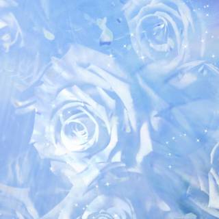 iPhone flower blue wallpaper