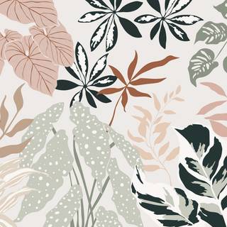 Neutral laptop wallpaper