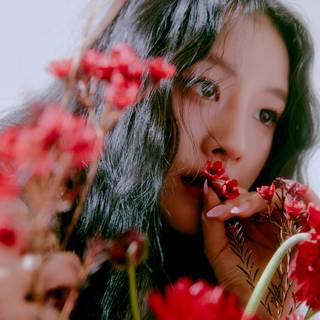 Cupid Fifty Fifty wallpaper