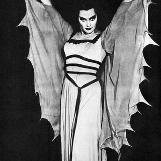 Yvonne De Carlo wallpaper