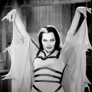 Yvonne De Carlo wallpaper