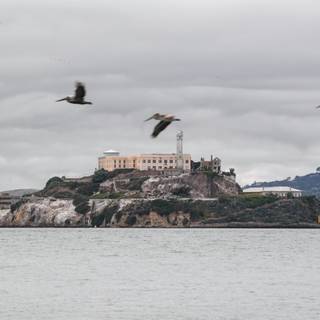 Escape From Alcatraz wallpaper