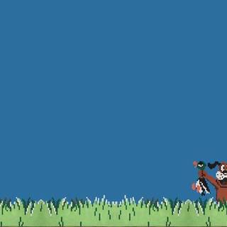 Duck PC wallpaper